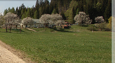 Viechtach im Bayerischen Wald