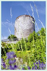 Burg Kollnburg im Bayrischenwald